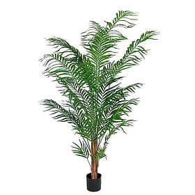 Areca Palm 120 cm