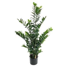 Zamifolia Krukväxt 130 cm