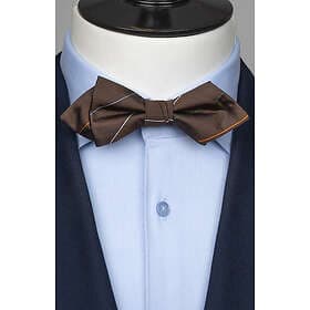 Neckwear Brun spetsig fluga siden randig