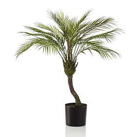 vidaXL Emerald Konstväxt Chamaedorea Palm i kruka 85 cm 444645