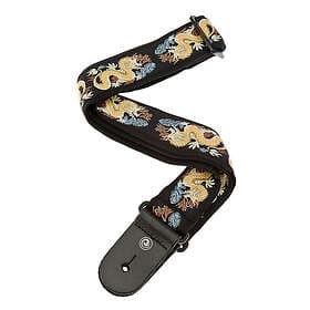 Planet Waves 50F08