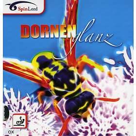 SpinLord Dornenglanz