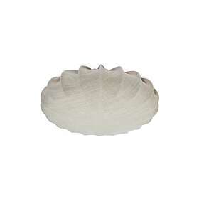 PRhome Florenzo