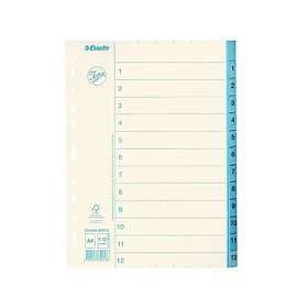 Esselte Pappersregister JOPA A4 1-12 vit/blå