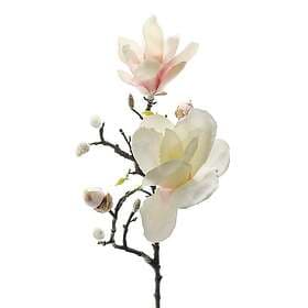 Fröken Fräken Konstväxt Magnolia 60 cm 6173-20