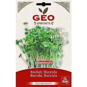 GEO Ruccola Frön För Groning Eko 30g