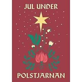 Lotta Olsson, Klas Östergren, Sara Kadefors, Jenny Strömstedt, Niklas Turner Olovzon: Jul under polstjärnan