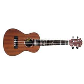 Everdeen Ukulele Concert