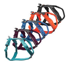Non-Stop Dogwear Line Hundsele 5,0 Turkos (2)
