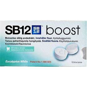 SB12 Boost Eucalyptus White 10 St