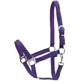 Horse Guard Nylongrimma Cob
