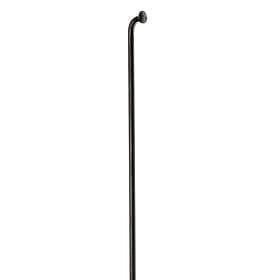 DT Swiss Champion Svart J-Bend Ekerlängd 284 mm