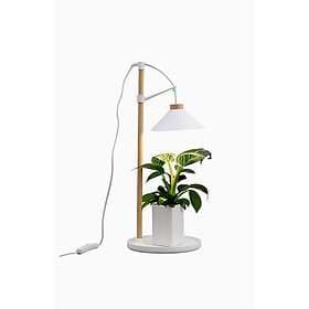 Airam Lily Växtbelysning 9W 550lm
