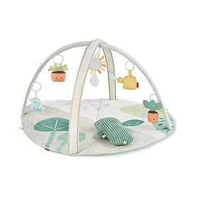 Skip Hop Garden Oasis Babygym