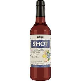 Herrljunga Shot Blåbär & Ingefära 500ml