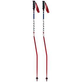 Swix World Cup Pro Sg Carbon Poles