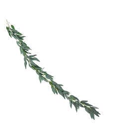 Eucalyptus girlang 2m