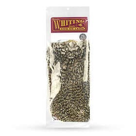 Whiting Coq de Leon Bronze Saddle Grizzly