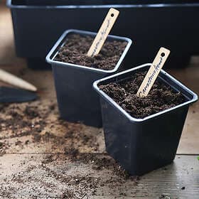 Nelson Garden Sticketikett bambu 10 cm, 15-pack