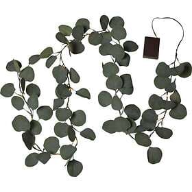 Star Trading Girlang Eucalyptus med LED