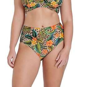 Miss Mary Amazonas Bikini Brief (Dam)