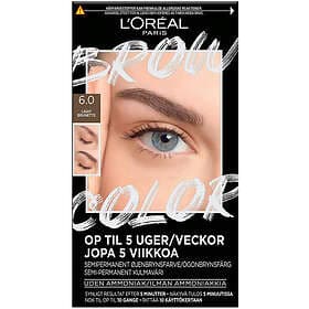 L'Oreal Paris Brow Color Kit 