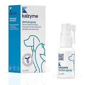 Dental Kalzyme Spray 30ml