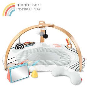 Skip Hop Discoverosity Babygym