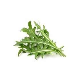 Click and Grow Smart Garden Refill 3-pack Ruccola