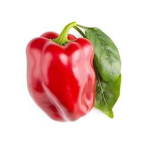 Click and Grow Smart Garden Refill 3-pack Röd paprika