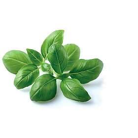 Click and Grow Smart Garden Refill 3-pack Dwarf Pea