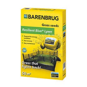 Barenbrug Gräsfrö Resilient Blue 1kg XEED XE10009-01