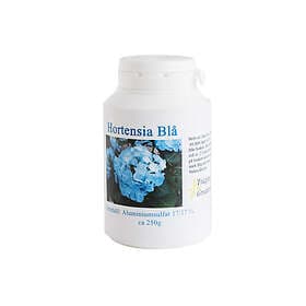 Trädgårdsgrossisten Hortensiablå 250g