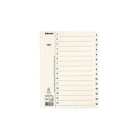 Esselte Pappregister Servo A4 flikar 1-15 vit