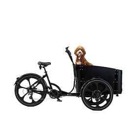 Cargobike DeLight Dog (Elcykel)
