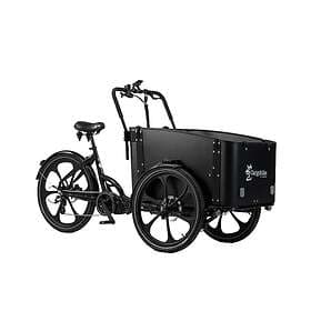 Cargobike DeLight (Electric)