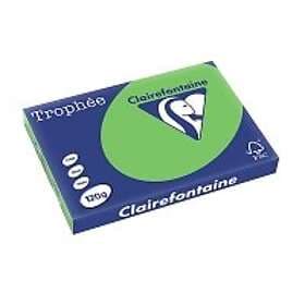 Clairefontaine 120g A3 papper gräsgrön 250 ark