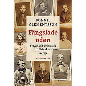 Fängslade öden : Tjuvar och bedragare i 1800-talets Sverige