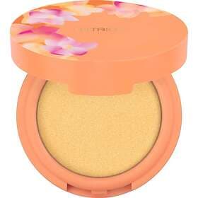 Catrice Seeking Flowers Cream-To-Powder Highlighter 5,5g 