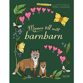 Minnen till mitt barnbarn
