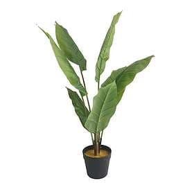 Lykke Konstväxt Peace Lily