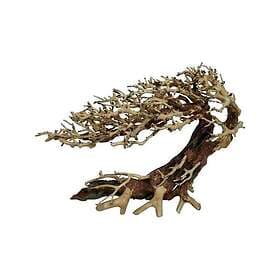 4FISH ree roots Elegant Brazilian tree 30x13x23cm
