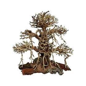 4FISH Old Bonsai 30X15x30 Cm
