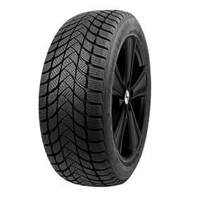 Landsail Winter Lander 205/55 R 16 91H