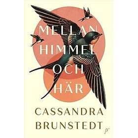 Mellan himmel och här