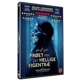 The Seed of the Sacred Fig Tree (DVD)