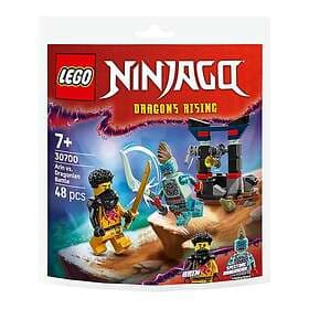 LEGO Ninjago 30700 Arin vs. Dragonian Battle