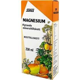 Salus Floradix Magnesium 250ml