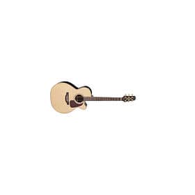 Takamine Pro Series 5 P5NC