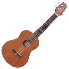 Takamine GUS1